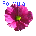 Formular