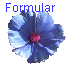 Formular
