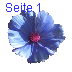 Seite 1