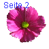 Seite 2