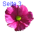Seite 3