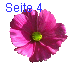 Seite 4