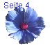 Seite 4