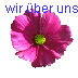 wir �ber uns