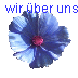 wir �ber uns
